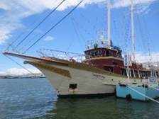 ���ɕ�����ł���D

�����I�ɐ������ꂽ����