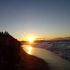 �[�������ޗl�q

�����I�ɐ������ꂽ����