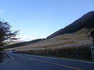 �R�̒��̓��H

�����I�ɐ������ꂽ����